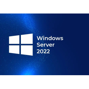 HPE Windows Server 2022 CAL 10 User