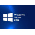 HPE Windows Server 2022 Essential Edition 1CPU 10 cores CZ (en/pl/ru 25/50user/dev) OEM